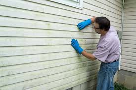 Best Insulated Siding Installation  in Tybee Island, GA